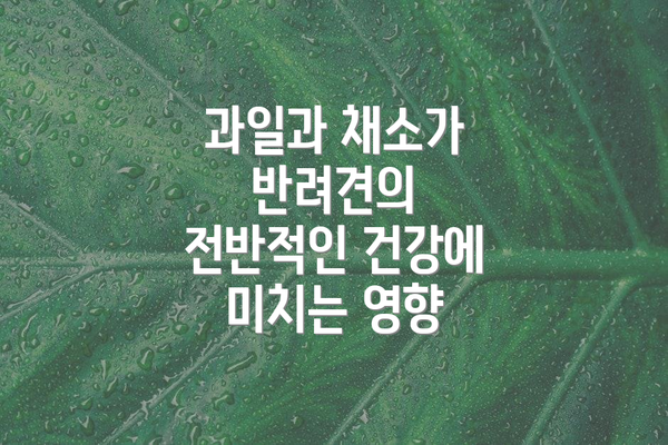 과일과 채소가 반려견의 전반적인 건강에 미치는 영향