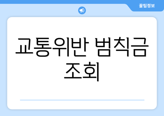교통위반 범칙금 조회