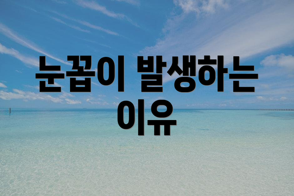 눈꼽이 발생하는 이유