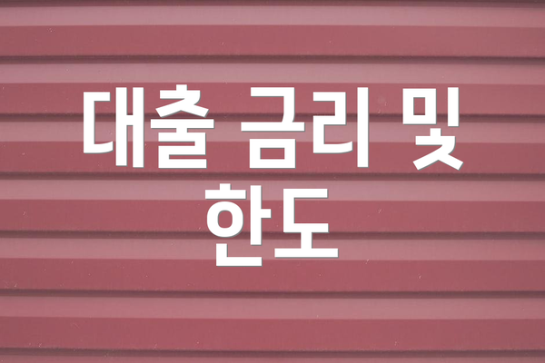 대출 금리 및 한도