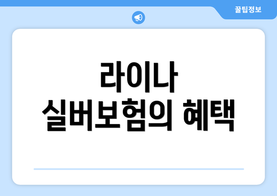 라이나 실버보험의 혜택