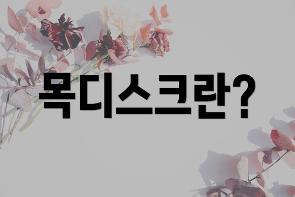 목디스크란?