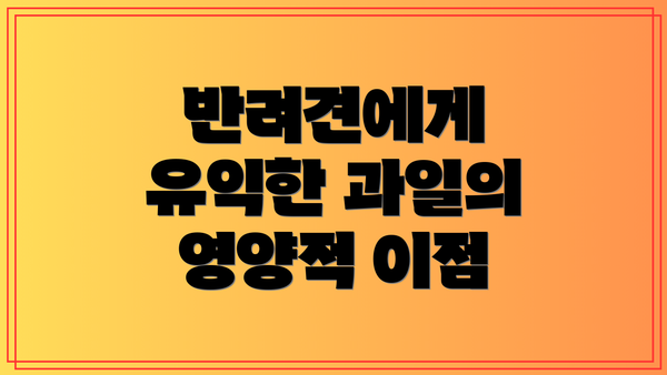 반려견에게 유익한 과일의 영양적 이점