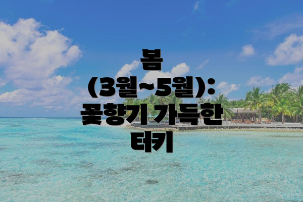 봄 (3월~5월): 꽃향기 가득한 터키