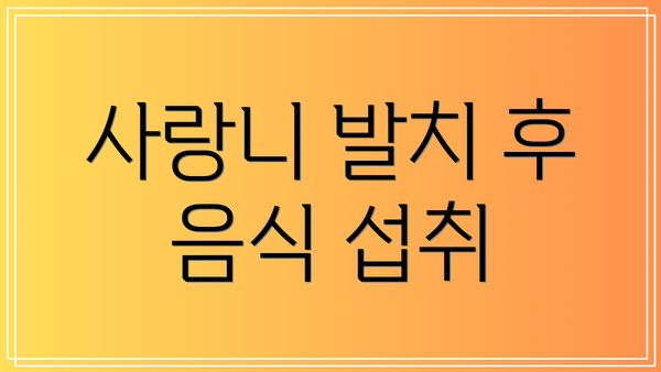 사랑니 발치 후 음식 섭취