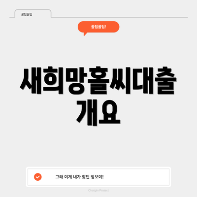 새희망홀씨대출 개요