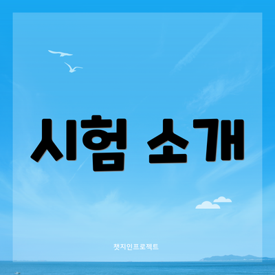 시험 소개
