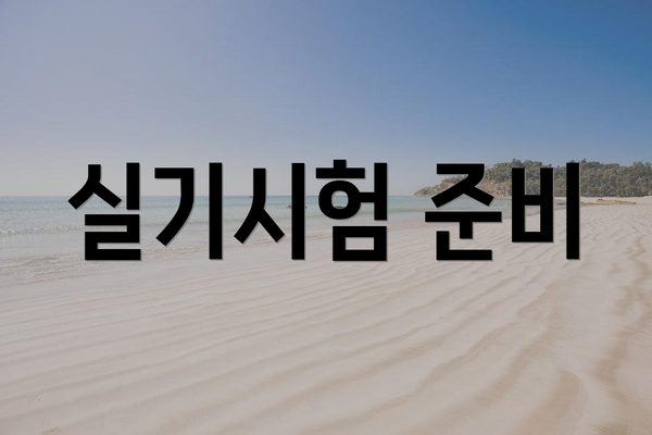 실기시험 준비