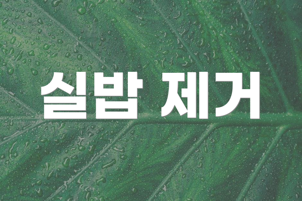 실밥 제거