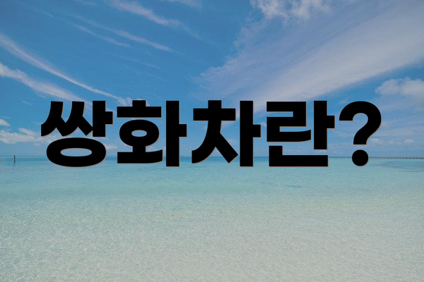 쌍화차란?