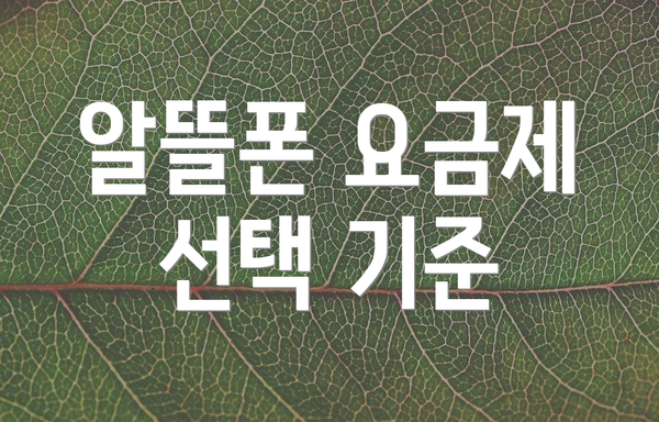 알뜰폰 요금제 선택 기준