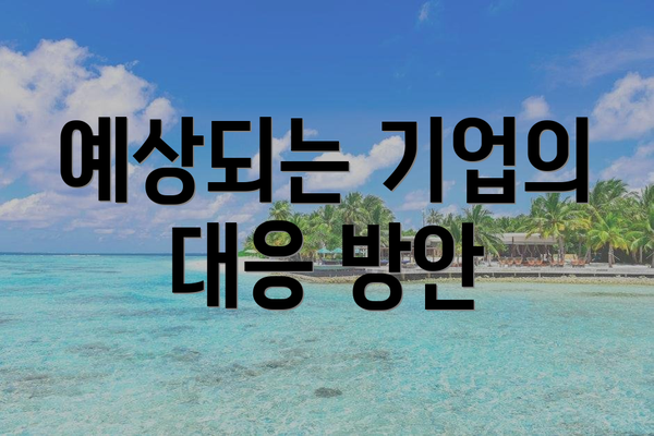 예상되는 기업의 대응 방안