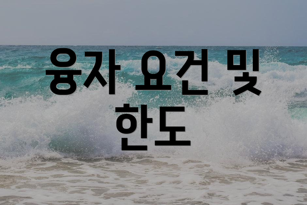융자 요건 및 한도