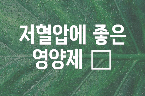 저혈압에 좋은 영양제 💊