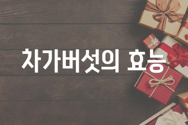 차가버섯의 효능