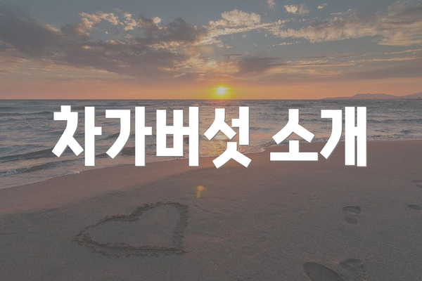 차가버섯 소개