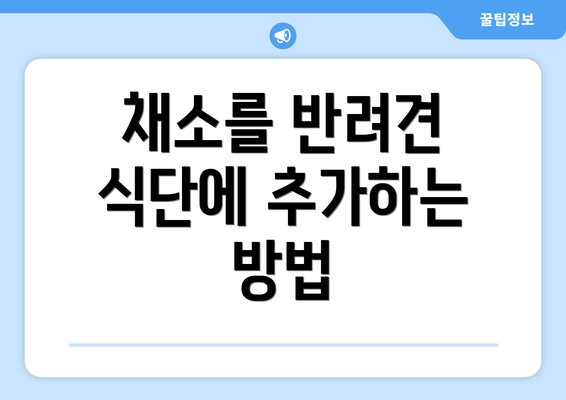 채소를 반려견 식단에 추가하는 방법