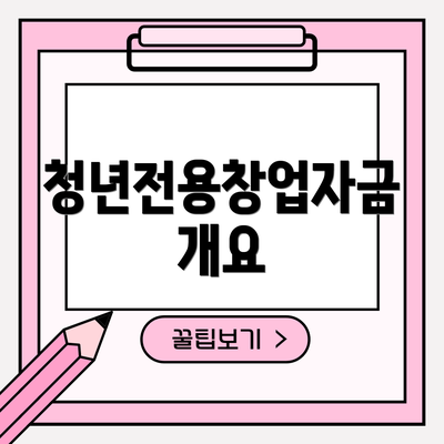 청년전용창업자금 개요