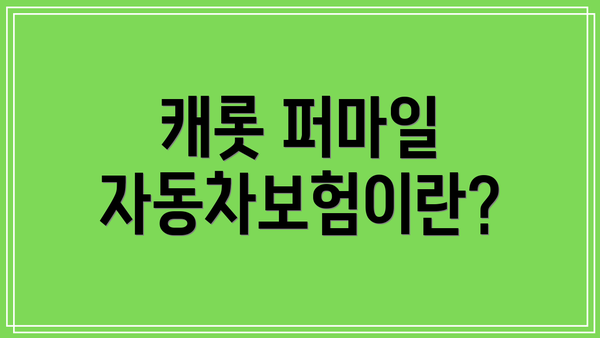 캐롯 퍼마일 자동차보험이란?
