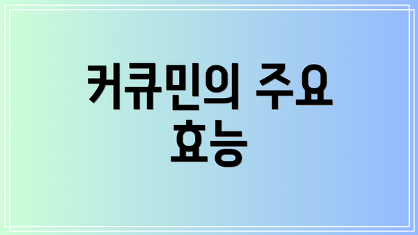 커큐민의 주요 효능