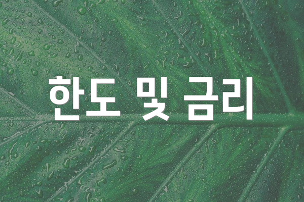 한도 및 금리