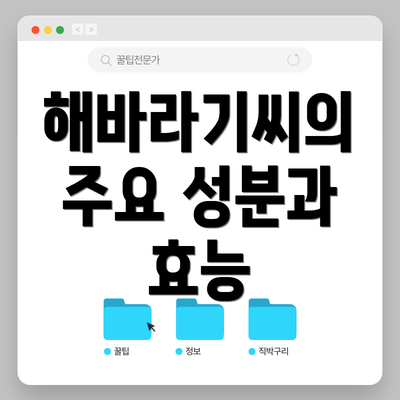 해바라기씨의 주요 성분과 효능