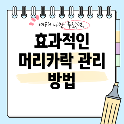 효과적인 머리카락 관리 방법