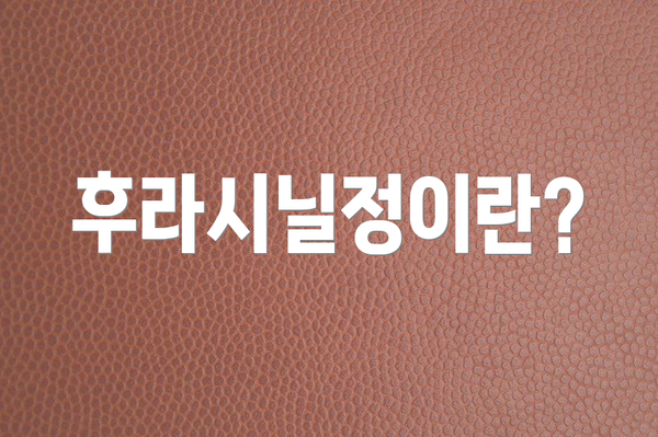 후라시닐정이란?
