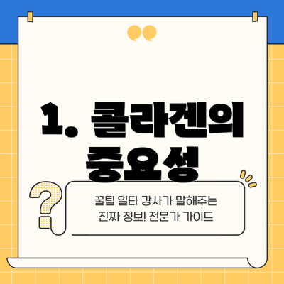 1. 콜라겐의 중요성