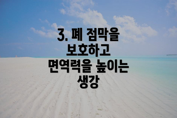 3. 폐 점막을 보호하고 면역력을 높이는 생강