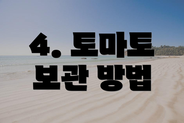 4. 토마토 보관 방법