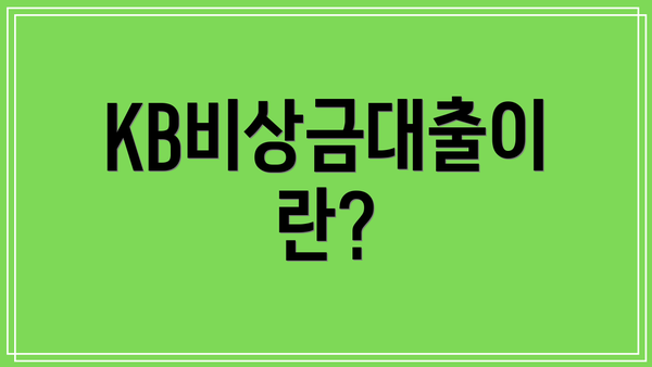 KB비상금대출이란?