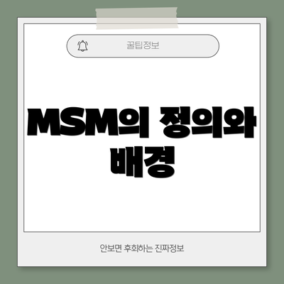 MSM의 정의와 배경