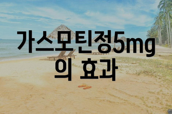 가스모틴정5mg의 효과