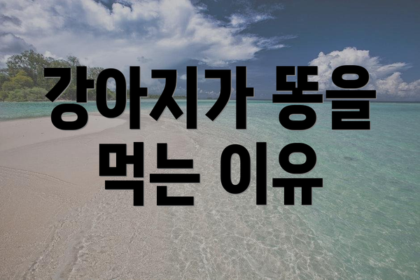 강아지가 똥을 먹는 이유