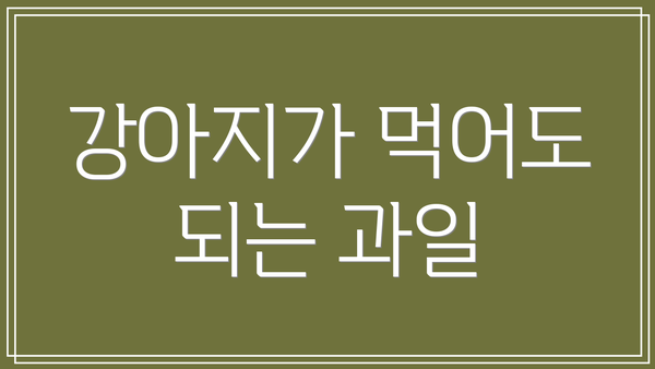 강아지가 먹어도 되는 과일
