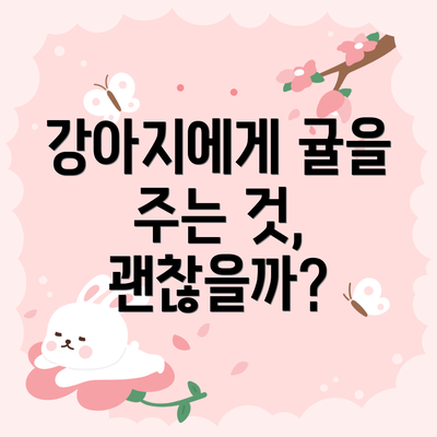 강아지에게 귤을 주는 것, 괜찮을까?