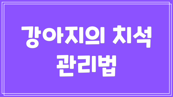강아지의 치석 관리법