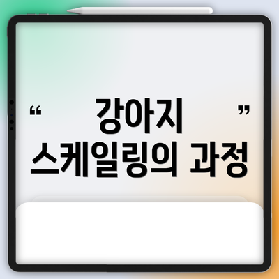 강아지 스케일링의 과정