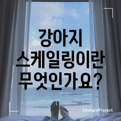 강아지 스케일링이란 무엇인가요?