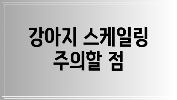 강아지 스케일링 주의할 점