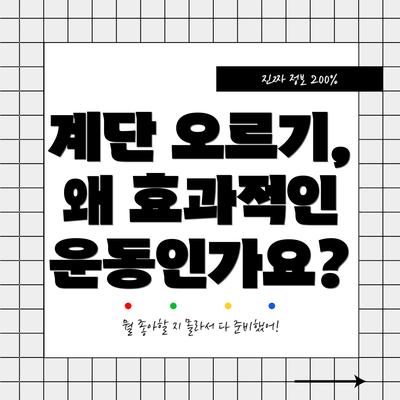 계단 오르기, 왜 효과적인 운동인가요?