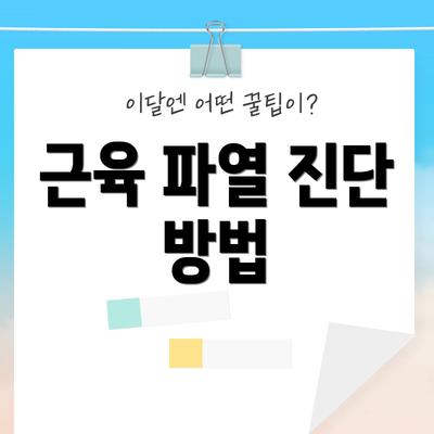 근육 파열 진단 방법