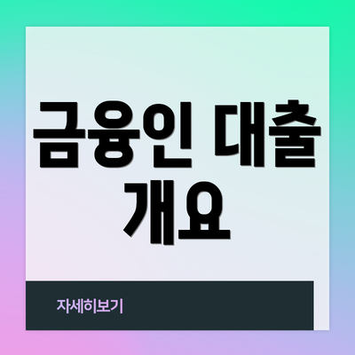 금융인 대출 개요