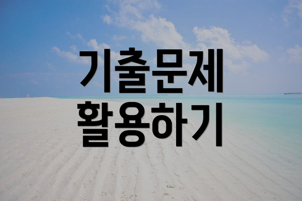 기출문제 활용하기