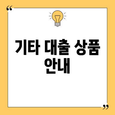 기타 대출 상품 안내