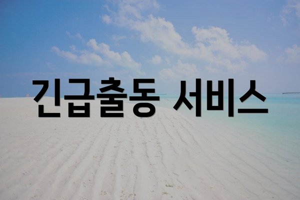 긴급출동 서비스