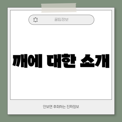 깨에 대한 소개