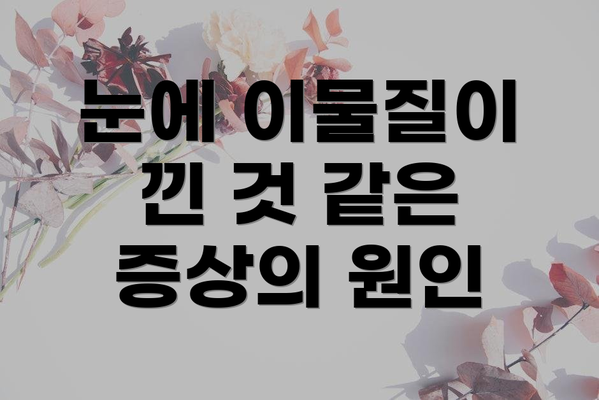 눈에 이물질이 낀 것 같은 증상의 원인