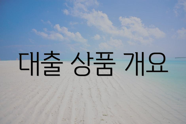 대출 상품 개요